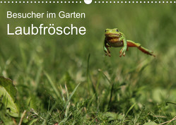 Besucher im Garten – Laubfrösche (Wandkalender 2023 DIN A3 quer) von Wilhelm,  N.