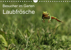 Besucher im Garten – Laubfrösche (Wandkalender 2023 DIN A4 quer) von Wilhelm,  N.
