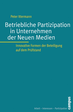 Betriebliche Partizipation in Unternehmen der Neuen Medien von Ittermann,  Peter