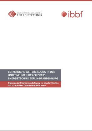 Betriebliche Weiterbildung in den Unternehmen des Clusters. Energietechnik Berlin-Brandenburg von Dr. Steinhöfel,  Michael