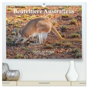Beuteltiere Australiens (hochwertiger Premium Wandkalender 2024 DIN A2 quer), Kunstdruck in Hochglanz von Smith,  Sidney