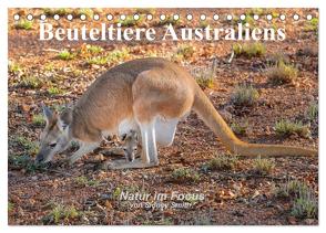 Beuteltiere Australiens (Tischkalender 2024 DIN A5 quer), CALVENDO Monatskalender von Smith,  Sidney