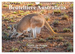 Beuteltiere Australiens (Wandkalender 2024 DIN A4 quer), CALVENDO Monatskalender von Smith,  Sidney