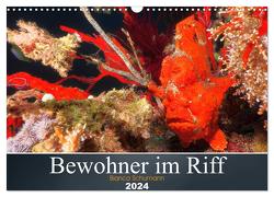 Bewohner im Riff (Wandkalender 2024 DIN A3 quer), CALVENDO Monatskalender von Schumann,  Bianca