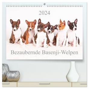 Bezaubernde Basenji-Welpen (hochwertiger Premium Wandkalender 2024 DIN A2 quer), Kunstdruck in Hochglanz von Joswig,  Angelika