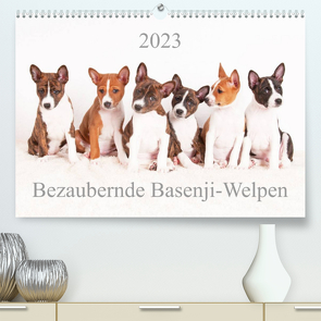 Bezaubernde Basenji-Welpen (Premium, hochwertiger DIN A2 Wandkalender 2023, Kunstdruck in Hochglanz) von Joswig,  Angelika