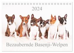 Bezaubernde Basenji-Welpen (Tischkalender 2024 DIN A5 quer), CALVENDO Monatskalender von Joswig,  Angelika