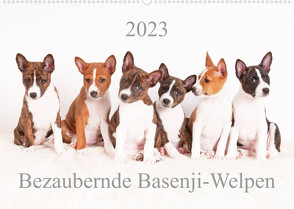 Bezaubernde Basenji-Welpen (Wandkalender 2023 DIN A2 quer) von Joswig,  Angelika
