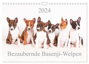 Bezaubernde Basenji-Welpen (Wandkalender 2024 DIN A4 quer), CALVENDO Monatskalender von Joswig,  Angelika