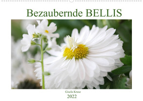 Bezaubernde Bellis (Wandkalender 2022 DIN A2 quer) von Kruse,  Gisela