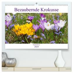 Bezaubernde Krokusse (hochwertiger Premium Wandkalender 2024 DIN A2 quer), Kunstdruck in Hochglanz von Kruse,  Gisela