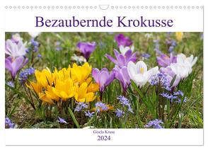 Bezaubernde Krokusse (Wandkalender 2024 DIN A3 quer), CALVENDO Monatskalender von Kruse,  Gisela