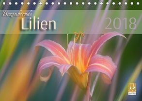 Bezaubernde Lilien (Tischkalender 2018 DIN A5 quer) von Forrester,  Susanne