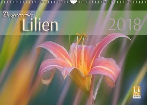Bezaubernde Lilien (Wandkalender 2018 DIN A3 quer) von Forrester,  Susanne