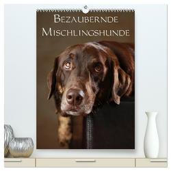 Bezaubernde Mischlingshunde (hochwertiger Premium Wandkalender 2024 DIN A2 hoch), Kunstdruck in Hochglanz von Behr,  Jana