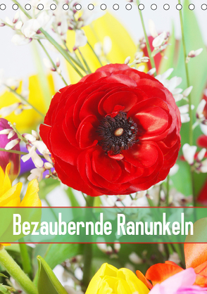 Bezaubernde Ranunkeln (Tischkalender 2019 DIN A5 hoch) von Kruse,  Gisela