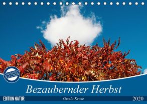 Bezaubernder Herbst (Tischkalender 2020 DIN A5 quer) von Kruse,  Gisela