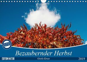 Bezaubernder Herbst (Wandkalender 2019 DIN A4 quer) von Kruse,  Gisela