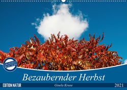 Bezaubernder Herbst (Wandkalender 2021 DIN A2 quer) von Kruse,  Gisela