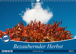 Bezaubernder Herbst (Wandkalender 2021 DIN A3 quer) von Kruse,  Gisela