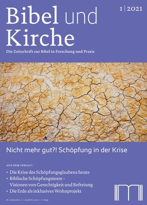 Bibel und Kirche / Nicht mehr gut?! Schöpfung in der Krise von Bederna,  Katrin, Benk,  Andreas, Birnbaum,  Elisabeth, Eltrop,  Bettina, Enzner-Probst,  Brigitte, Kessler,  Rainer, Steins,  Georg