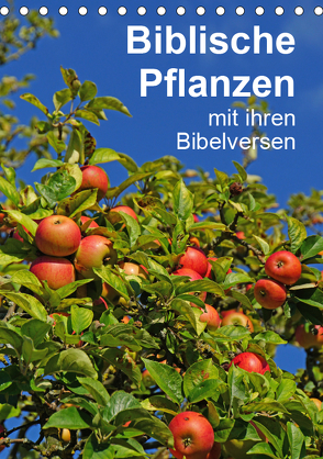Biblische Pflanzen mit ihren Bibelversen (Tischkalender 2019 DIN A5 hoch) von Vorndran,  Hans-Georg