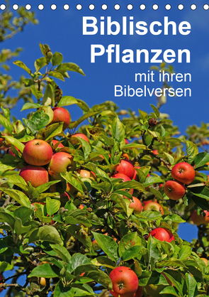 Biblische Pflanzen mit ihren Bibelversen (Tischkalender 2021 DIN A5 hoch) von Vorndran,  Hans-Georg