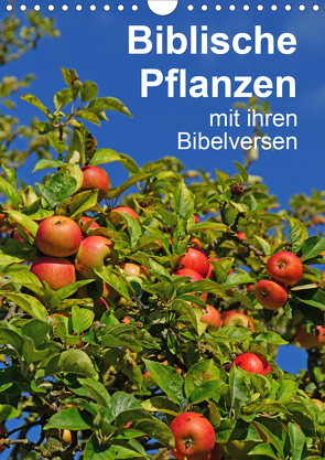 Biblische Pflanzen mit ihren Bibelversen (Wandkalender 2021 DIN A4 hoch) von Vorndran,  Hans-Georg