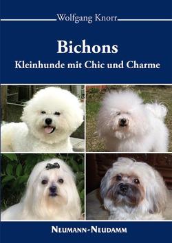 Bichons von Knorr,  Wolfgang