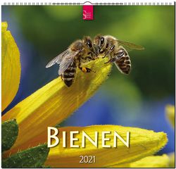 Bienen