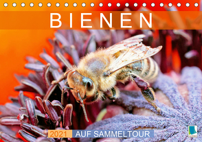 Bienen auf Sammeltour (Tischkalender 2021 DIN A5 quer) von CALVENDO