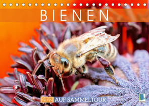 Bienen auf Sammeltour (Tischkalender 2022 DIN A5 quer) von CALVENDO