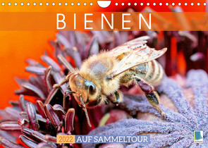 Bienen auf Sammeltour (Wandkalender 2022 DIN A4 quer) von CALVENDO