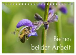 Bienen bei der Arbeit (Tischkalender 2024 DIN A5 quer), CALVENDO Monatskalender von Kropf,  Zlatko