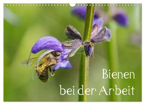 Bienen bei der Arbeit (Wandkalender 2024 DIN A3 quer), CALVENDO Monatskalender von Kropf,  Zlatko