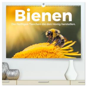 Bienen – Die fleißigen Tierchen die den Honig herstellen. (hochwertiger Premium Wandkalender 2024 DIN A2 quer), Kunstdruck in Hochglanz von Scott,  M.