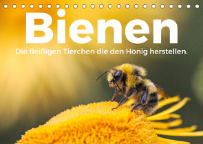 Bienen – Die fleißigen Tierchen die den Honig herstellen. (Tischkalender 2023 DIN A5 quer) von Scott,  M.