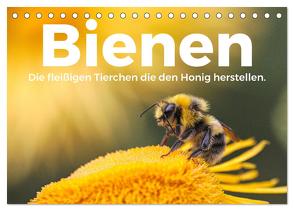 Bienen – Die fleißigen Tierchen die den Honig herstellen. (Tischkalender 2024 DIN A5 quer), CALVENDO Monatskalender von Scott,  M.