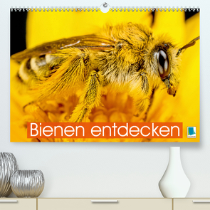 Bienen entdecken (Premium, hochwertiger DIN A2 Wandkalender 2021, Kunstdruck in Hochglanz) von CALVENDO