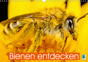 Bienen entdecken (Wandkalender 2021 DIN A3 quer) von CALVENDO