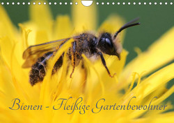 Bienen – Fleißige Gartenbewohner (Wandkalender 2023 DIN A4 quer) von Hahnefeld,  Silvia