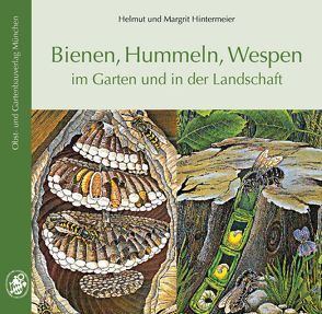 Bienen, Hummeln, Wespen im Garten und in der Landschaft von Hintermeier,  Helmut & Margrit