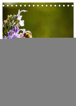 Bienen im Naturgarten (Tischkalender 2024 DIN A5 hoch), CALVENDO Monatskalender von Gartenchaosliebe,  Gartenchaosliebe
