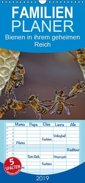 Bienen in ihrem geheimen Reich – Familienplaner hoch (Wandkalender 2019 , 21 cm x 45 cm, hoch) von Bangert,  Mark