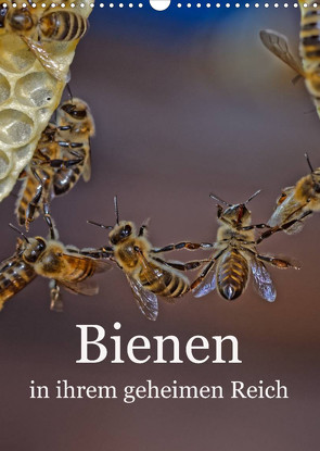Bienen in ihrem geheimen Reich (Wandkalender 2023 DIN A3 hoch) von Bangert,  Mark