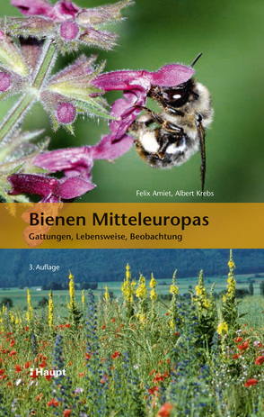 Bienen Mitteleuropas von Amiet,  Felix, Krebs,  Albert, Mueller,  Andreas
