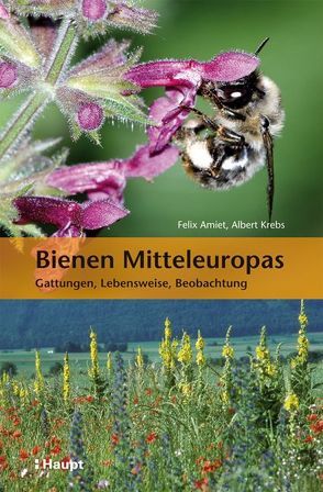 Bienen Mitteleuropas von Amiet,  Felix, Krebs,  Albert