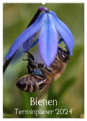 Bienen-Terminplaner 2024 (Wandkalender 2024 DIN A2 hoch), CALVENDO Monatskalender von Hahnefeld,  Silvia