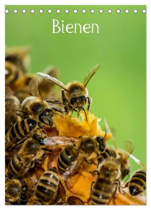 Bienen (Tischkalender 2024 DIN A5 hoch), CALVENDO Monatskalender von Bangert,  Mark