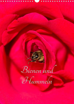 Bienen und Hummeln (Wandkalender 2023 DIN A3 hoch) von Bangert,  Mark